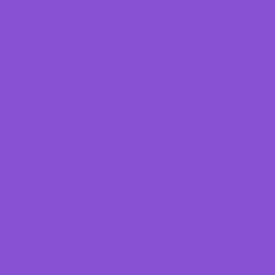 #8850D3 - Amethyst Color Image