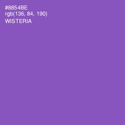 #8854BE - Wisteria Color Image