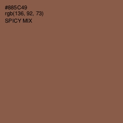 #885C49 - Spicy Mix Color Image