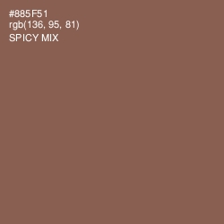 #885F51 - Spicy Mix Color Image