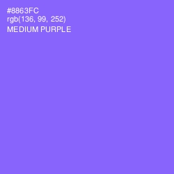 #8863FC - Medium Purple Color Image