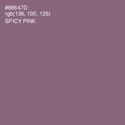 #88647D - Spicy Pink Color Image