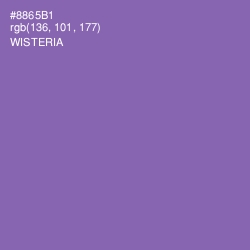 #8865B1 - Wisteria Color Image