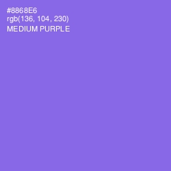 #8868E6 - Medium Purple Color Image