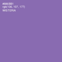 #886BB1 - Wisteria Color Image