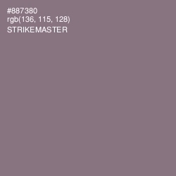 #887380 - Strikemaster Color Image