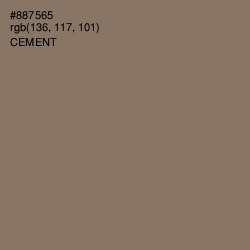 #887565 - Cement Color Image