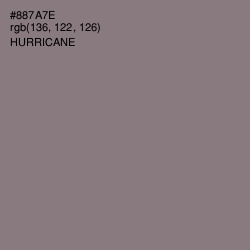 #887A7E - Hurricane Color Image