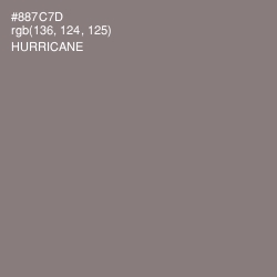 #887C7D - Hurricane Color Image