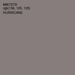 #887D7D - Hurricane Color Image