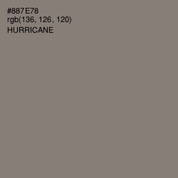 #887E78 - Hurricane Color Image