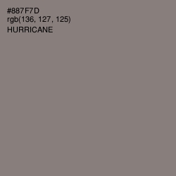 #887F7D - Hurricane Color Image