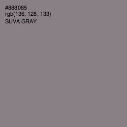 #888085 - Suva Gray Color Image