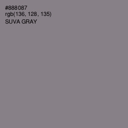 #888087 - Suva Gray Color Image