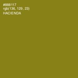 #888117 - Hacienda Color Image