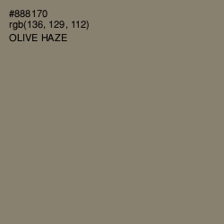 #888170 - Olive Haze Color Image