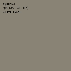 #888374 - Olive Haze Color Image