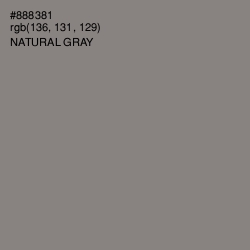 #888381 - Natural Gray Color Image