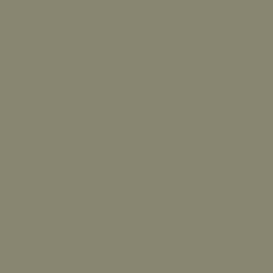 #888570 - Olive Haze Color Image