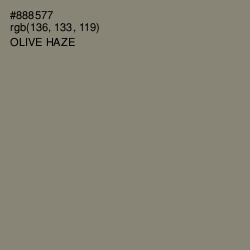 #888577 - Olive Haze Color Image