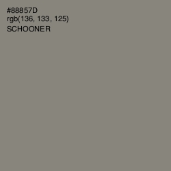 #88857D - Schooner Color Image