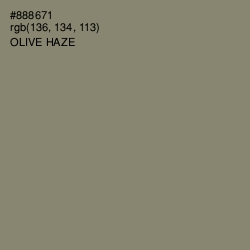 #888671 - Olive Haze Color Image