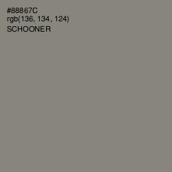 #88867C - Schooner Color Image