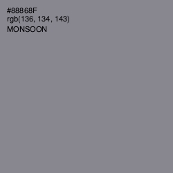 #88868F - Monsoon Color Image