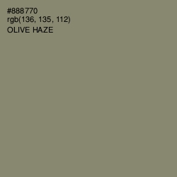 #888770 - Olive Haze Color Image