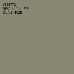 #888772 - Olive Haze Color Image