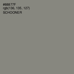 #88877F - Schooner Color Image