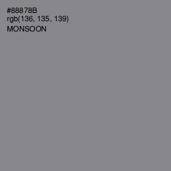 #88878B - Monsoon Color Image