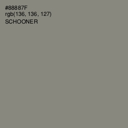 #88887F - Schooner Color Image