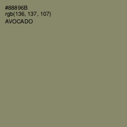 #88896B - Avocado Color Image