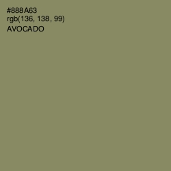 #888A63 - Avocado Color Image