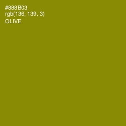 #888B03 - Olive Color Image