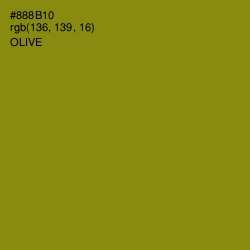 #888B10 - Olive Color Image