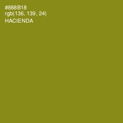 #888B18 - Hacienda Color Image