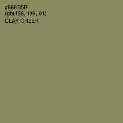 #888B5B - Clay Creek Color Image