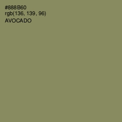 #888B60 - Avocado Color Image