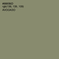 #888B6D - Avocado Color Image