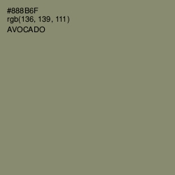 #888B6F - Avocado Color Image