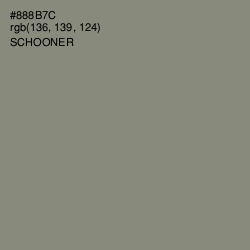 #888B7C - Schooner Color Image