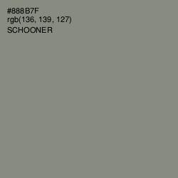 #888B7F - Schooner Color Image