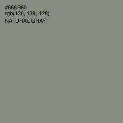 #888B80 - Natural Gray Color Image
