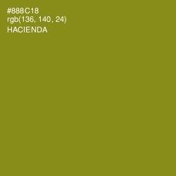 #888C18 - Hacienda Color Image