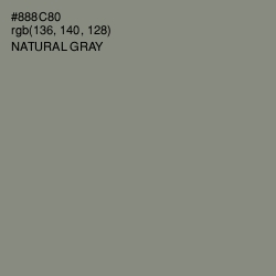 #888C80 - Natural Gray Color Image