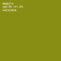 #888D14 - Hacienda Color Image