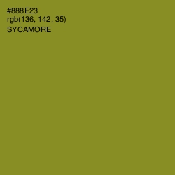 #888E23 - Sycamore Color Image