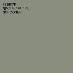 #888F7F - Schooner Color Image